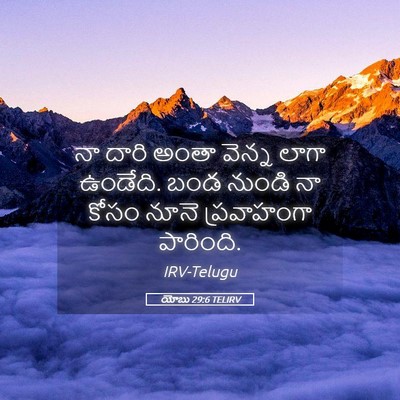 Picture 05 - యోబు 29:6 TELIRV - నా దారి అంతా వెన్న - Bible Verse Picture