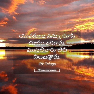Picture 05 - యోబు 29:8 TELIRV - యువకులు నన్ను - Bible Verse Picture