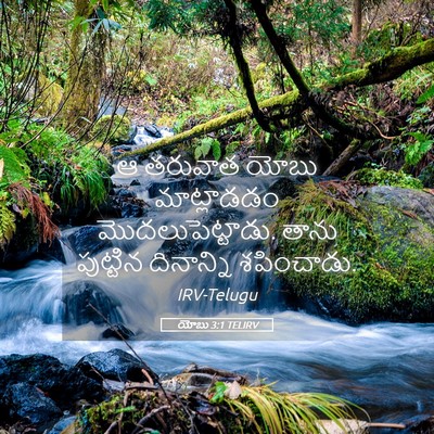 Picture 05 - యోబు 3:1 TELIRV - ఆ తరువాత యోబు - Bible Verse Picture