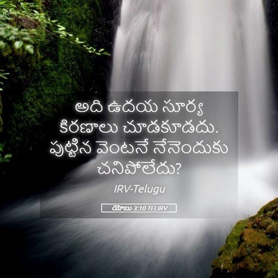 Picture 05 - యోబు 3:10 TELIRV - అది ఉదయ సూర్య - Bible Verse Picture