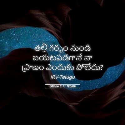 Picture 05 - యోబు 3:11 TELIRV - తల్లి గర్భం నుండి - Bible Verse Picture