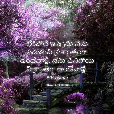 Picture 05 - యోబు 3:13 TELIRV - లేకపోతే ఇప్పుడు - Bible Verse Picture