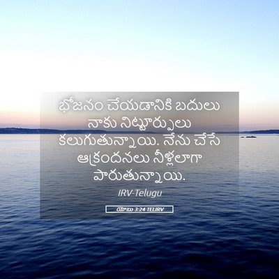 Picture 05 - యోబు 3:24 TELIRV - భోజనం చేయడానికి - Bible Verse Picture