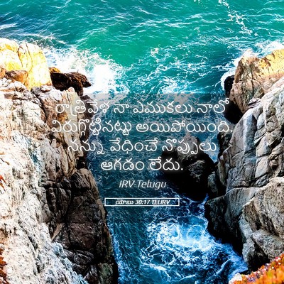 Picture 05 - యోబు 30:17 TELIRV - రాత్రివేళ నా - Bible Verse Picture