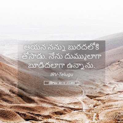 Picture 05 - యోబు 30:19 TELIRV - ఆయన నన్ను - Bible Verse Picture