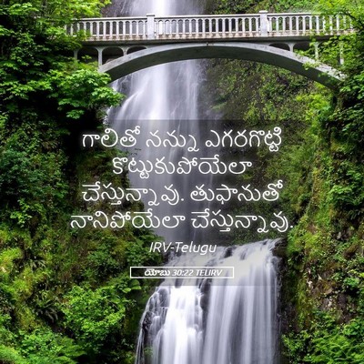 Picture 05 - యోబు 30:22 TELIRV - గాలితో నన్ను - Bible Verse Picture
