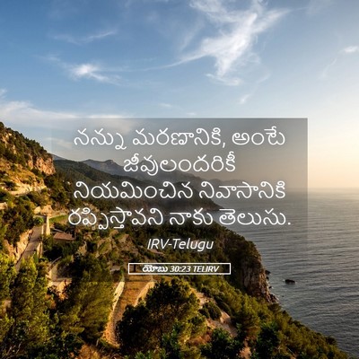 Picture 05 - యోబు 30:23 TELIRV - నన్ను మరణానికి, - Bible Verse Picture