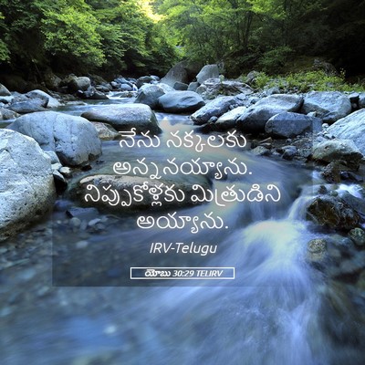 Picture 05 - యోబు 30:29 TELIRV - నేను నక్కలకు - Bible Verse Picture