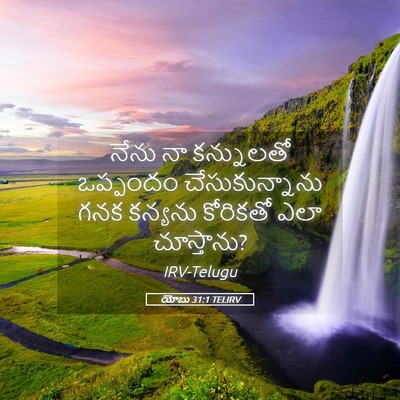 Picture 05 - యోబు 31:1 TELIRV - నేను నా కన్నులతో - Bible Verse Picture