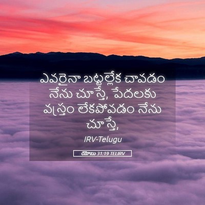 Picture 05 - యోబు 31:19 TELIRV - ఎవరైనా బట్టల్లేక - Bible Verse Picture