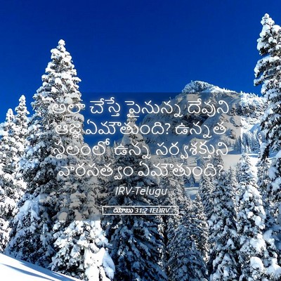Picture 05 - యోబు 31:2 TELIRV - అలా చేస్తే - Bible Verse Picture
