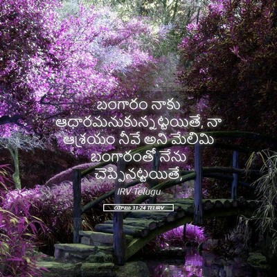 Picture 05 - యోబు 31:24 TELIRV - బంగారం నాకు - Bible Verse Picture