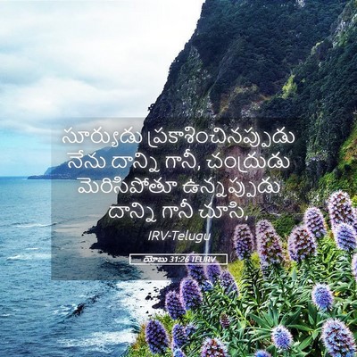 Picture 05 - యోబు 31:26 TELIRV - సూర్యుడు - Bible Verse Picture