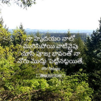 Picture 05 - యోబు 31:27 TELIRV - నా హృదయం నాలో - Bible Verse Picture
