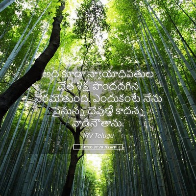 Picture 05 - యోబు 31:28 TELIRV - అది కూడా - Bible Verse Picture