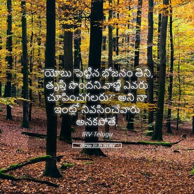 Picture 05 - యోబు 31:31 TELIRV - “యోబు పెట్టిన - Bible Verse Picture