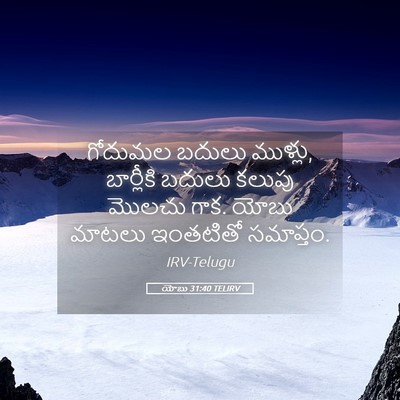Picture 05 - యోబు 31:40 TELIRV - గోదుమల బదులు - Bible Verse Picture
