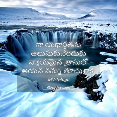 Picture 05 - యోబు 31:6 TELIRV - నా యథార్థతను - Bible Verse Picture