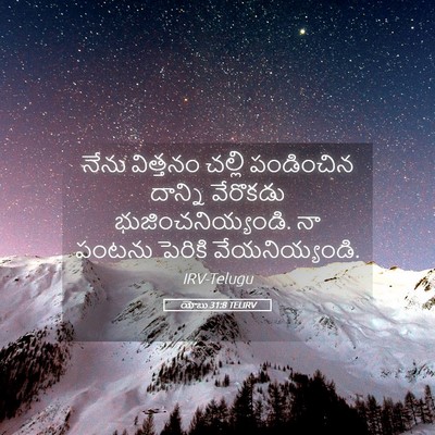 Picture 05 - యోబు 31:8 TELIRV - నేను విత్తనం - Bible Verse Picture