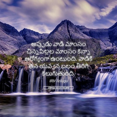 Picture 05 - యోబు 33:25 TELIRV - అప్పుడు వాడి - Bible Verse Picture