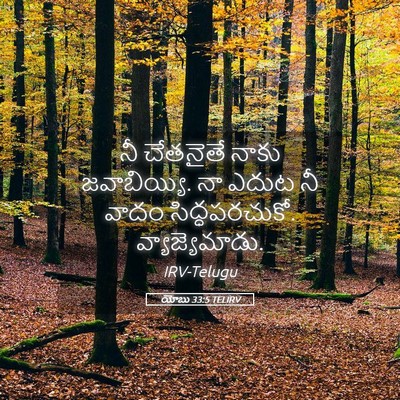 Picture 05 - యోబు 33:5 TELIRV - నీ చేతనైతే నాకు - Bible Verse Picture