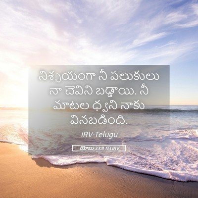 Picture 05 - యోబు 33:8 TELIRV - నిశ్చయంగా నీ - Bible Verse Picture