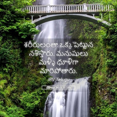 Picture 05 - యోబు 34:15 TELIRV - శరీరులంతా - Bible Verse Picture