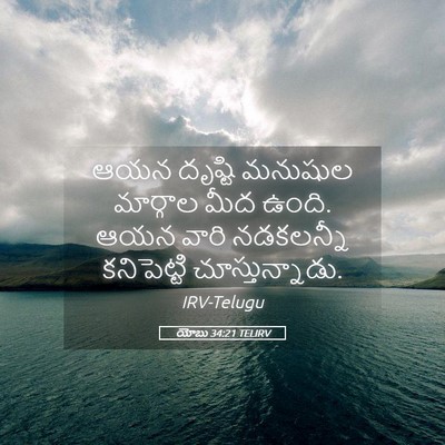 Picture 05 - యోబు 34:21 TELIRV - ఆయన దృష్టి మనుషుల - Bible Verse Picture