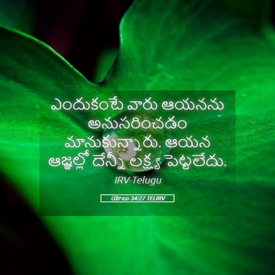 Picture 05 - యోబు 34:27 TELIRV - ఎందుకంటే వారు - Bible Verse Picture