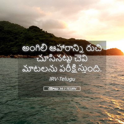 Picture 05 - యోబు 34:3 TELIRV - అంగిలి ఆహారాన్ని - Bible Verse Picture