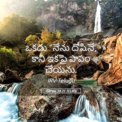 Picture 05 - యోబు 34:31 TELIRV - ఒకడు “నేను దోషినే, - Bible Verse Picture