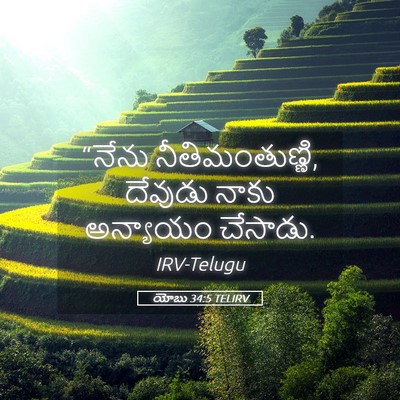 Picture 05 - యోబు 34:5 TELIRV - “నేను - Bible Verse Picture