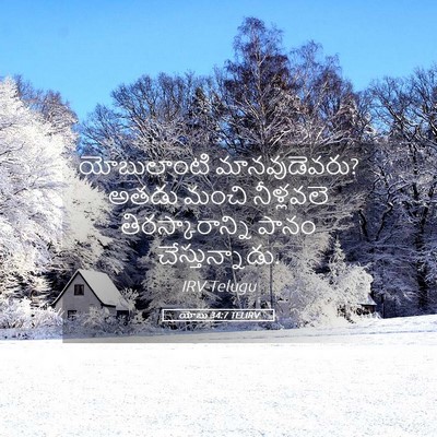 Picture 05 - యోబు 34:7 TELIRV - యోబులాంటి - Bible Verse Picture