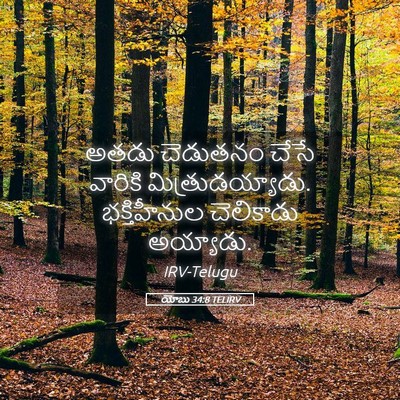 Picture 05 - యోబు 34:8 TELIRV - అతడు చెడుతనం చేసే - Bible Verse Picture