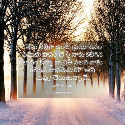 Picture 05 - యోబు 35:3 TELIRV - “నేను నీతిగా ఉంటే - Bible Verse Picture