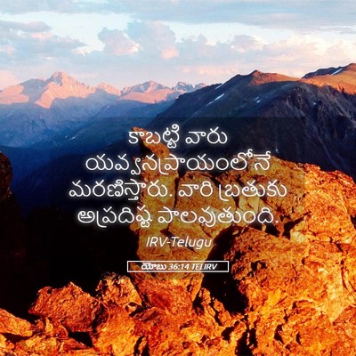 Picture 05 - యోబు 36:14 TELIRV - కాబట్టి వారు - Bible Verse Picture