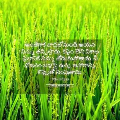 Picture 05 - యోబు 36:16 TELIRV - అంతేగాక - Bible Verse Picture