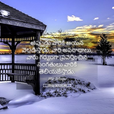 Picture 05 - యోబు 36:9 TELIRV - అప్పుడు వారికి - Bible Verse Picture