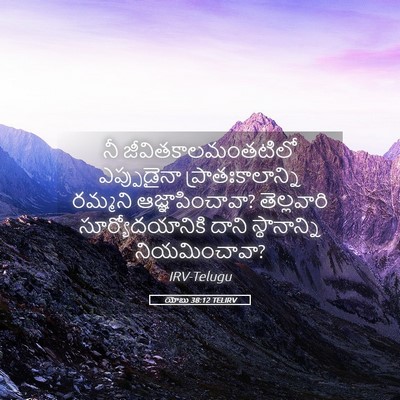 Picture 05 - యోబు 38:12 TELIRV - నీ - Bible Verse Picture