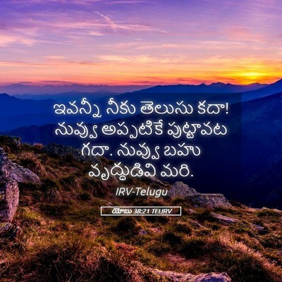 Picture 05 - యోబు 38:21 TELIRV - ఇవన్నీ నీకు - Bible Verse Picture