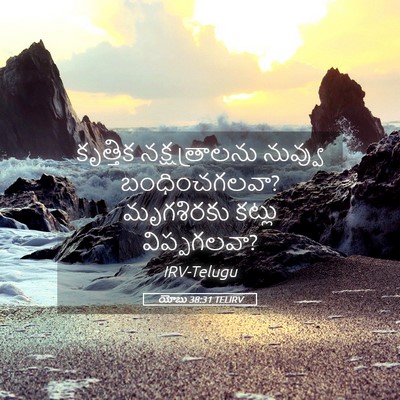 Picture 05 - యోబు 38:31 TELIRV - కృత్తిక - Bible Verse Picture