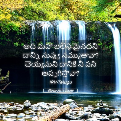 Picture 05 - యోబు 39:11 TELIRV - అది మహా - Bible Verse Picture