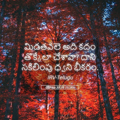 Picture 05 - యోబు 39:20 TELIRV - మిడతవలె అది కదం - Bible Verse Picture