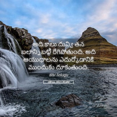 Picture 05 - యోబు 39:21 TELIRV - అది కాలు దువ్వి తన - Bible Verse Picture
