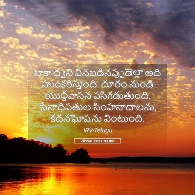 Picture 05 - యోబు 39:25 TELIRV - బాకా ధ్వని - Bible Verse Picture