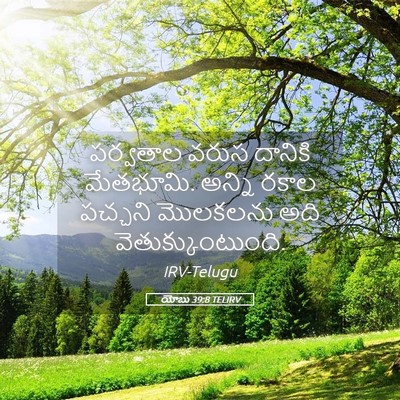 Picture 05 - యోబు 39:8 TELIRV - పర్వతాల వరుస - Bible Verse Picture
