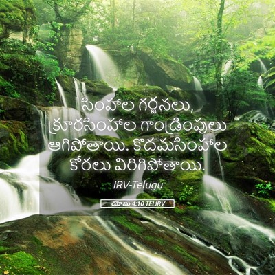 Picture 05 - యోబు 4:10 TELIRV - సింహాల గర్జనలు, - Bible Verse Picture