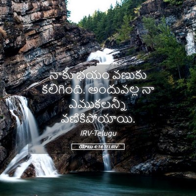 Picture 05 - యోబు 4:14 TELIRV - నాకు భయం వణుకు - Bible Verse Picture
