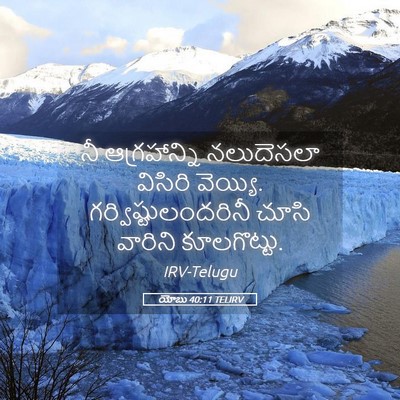 Picture 05 - యోబు 40:11 TELIRV - నీ ఆగ్రహాన్ని - Bible Verse Picture