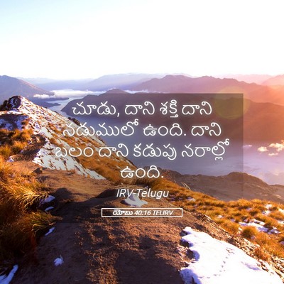 Picture 05 - యోబు 40:16 TELIRV - చూడు, దాని శక్తి - Bible Verse Picture